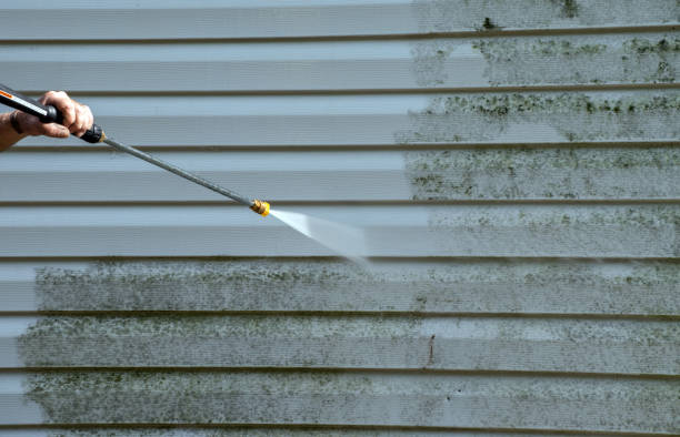 Best Sidewalk and Walkway Cleaning  in Prairie View, TX