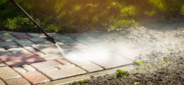 Best Animal Enclosure Cleaning  in Prairie View, TX